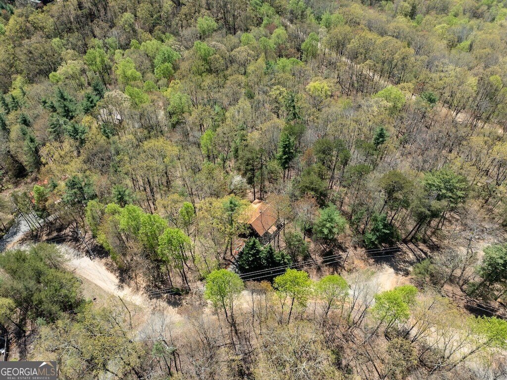 191 Mountain View Road Ellijay - 23