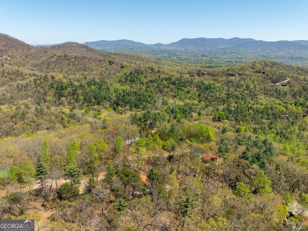191 Mountain View Road Ellijay - 24