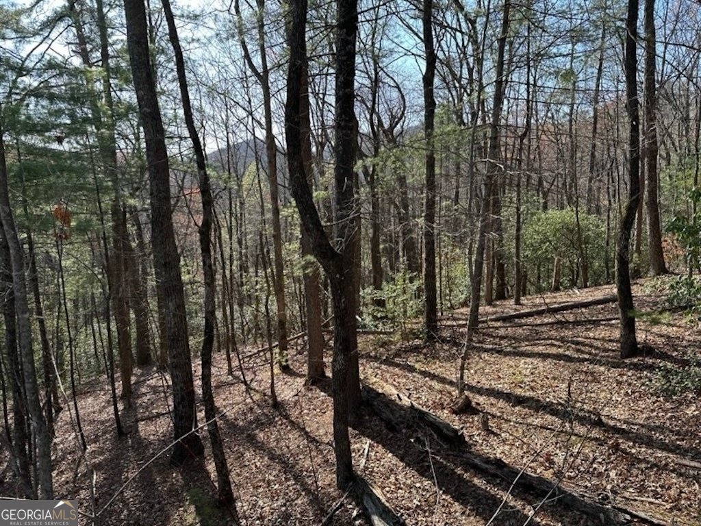 191 Mountain View Road Ellijay - 28