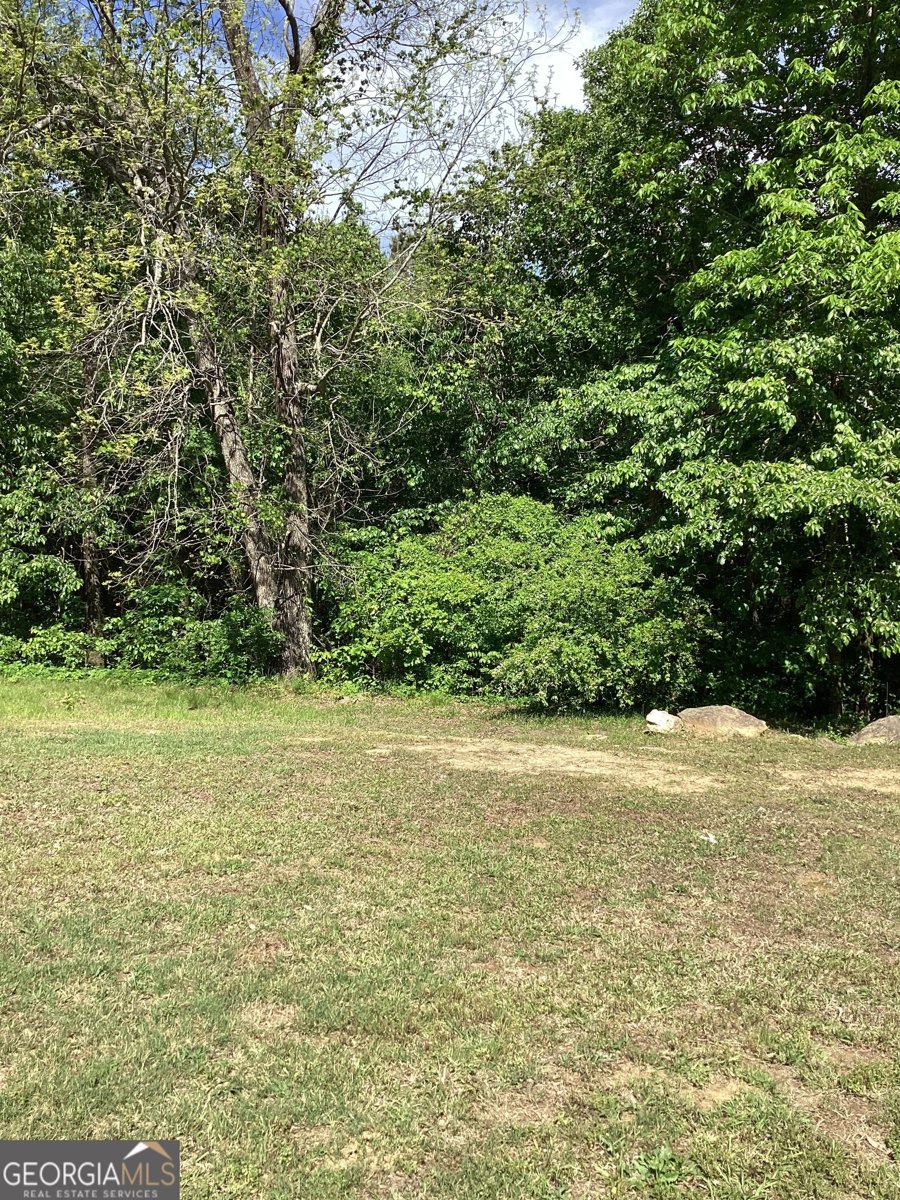 6074 Locklear Way Douglasville - 39