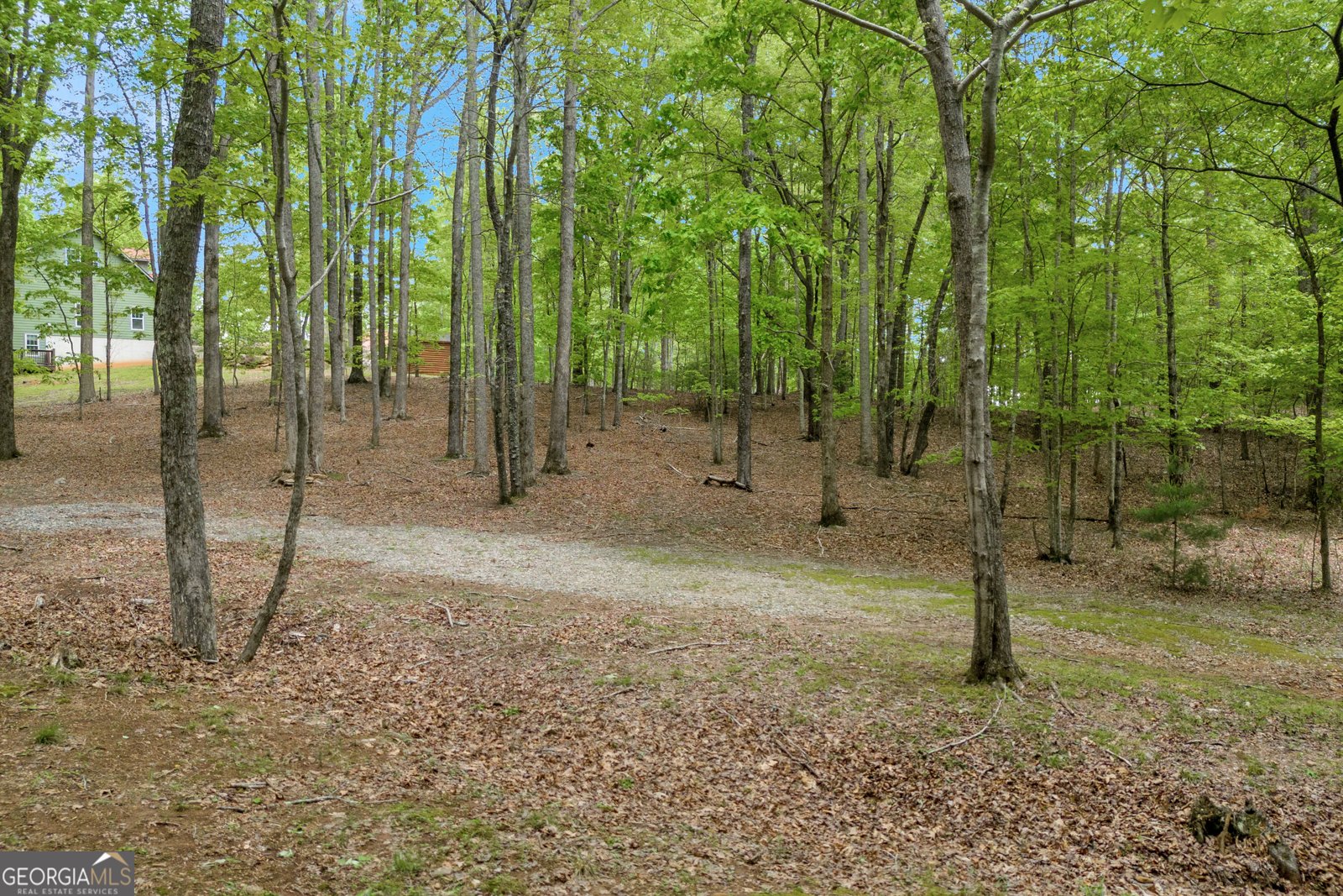 230 Northlake Drive Sautee Nacoochee - 56