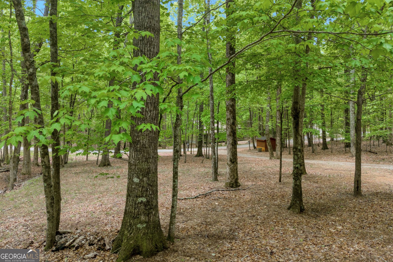 230 Northlake Drive Sautee Nacoochee - 57