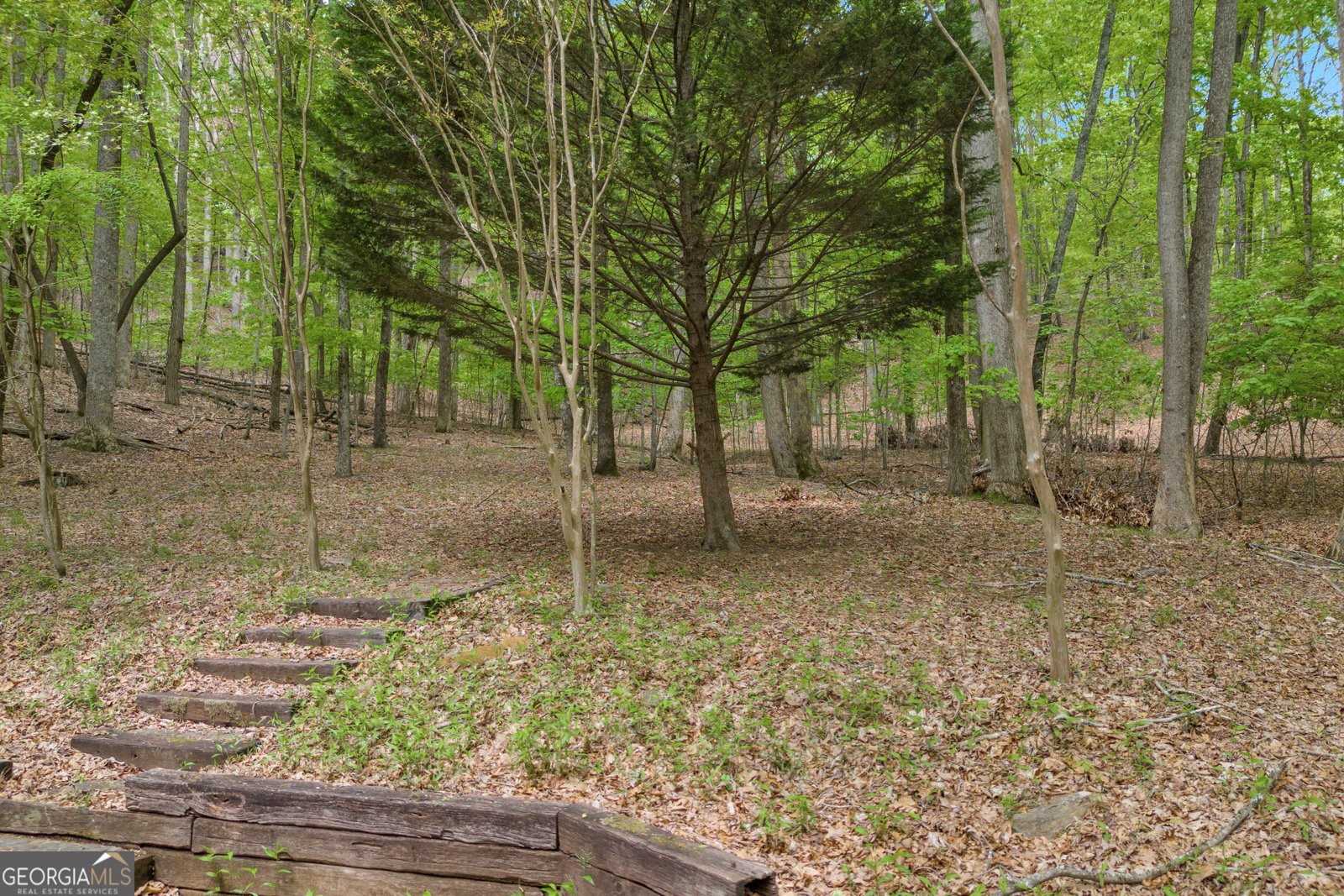 230 Northlake Drive Sautee Nacoochee - 59
