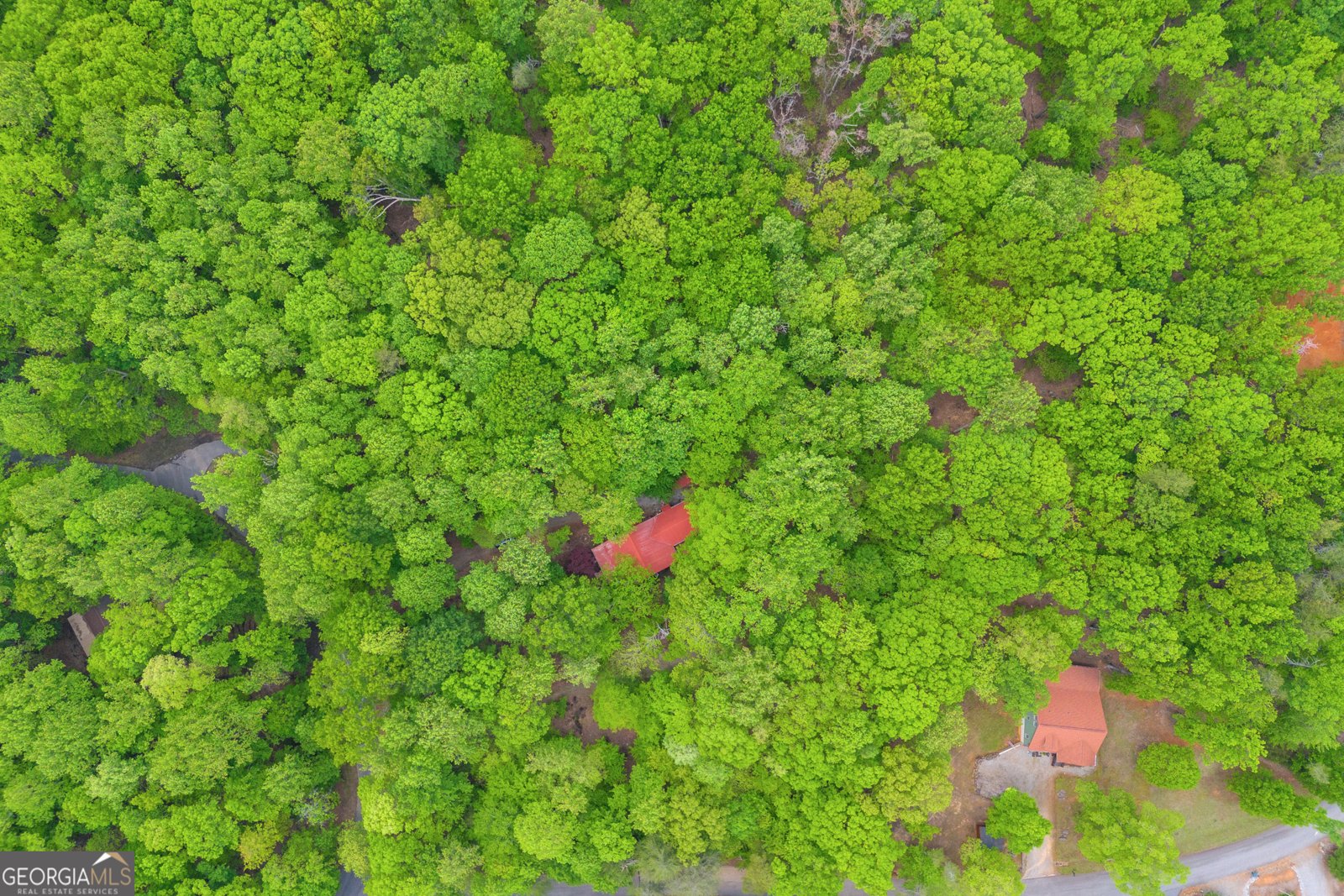 230 Northlake Drive Sautee Nacoochee - 74