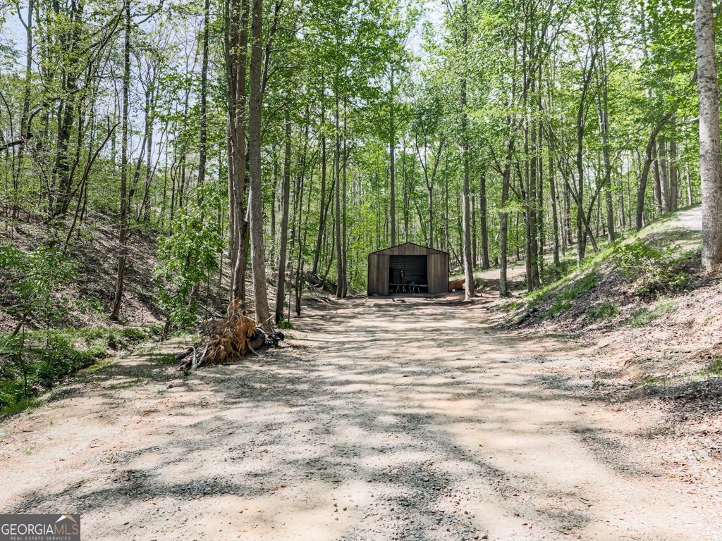 1141 Addington Lane Waleska - 100