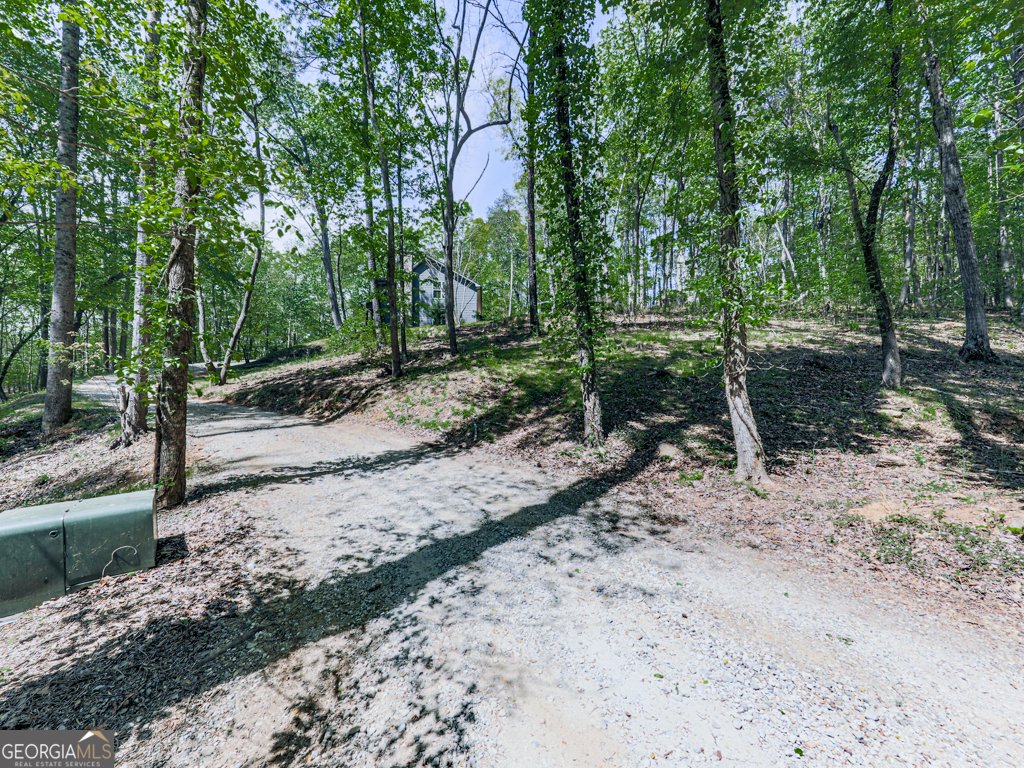 1141 Addington Lane Waleska - 28