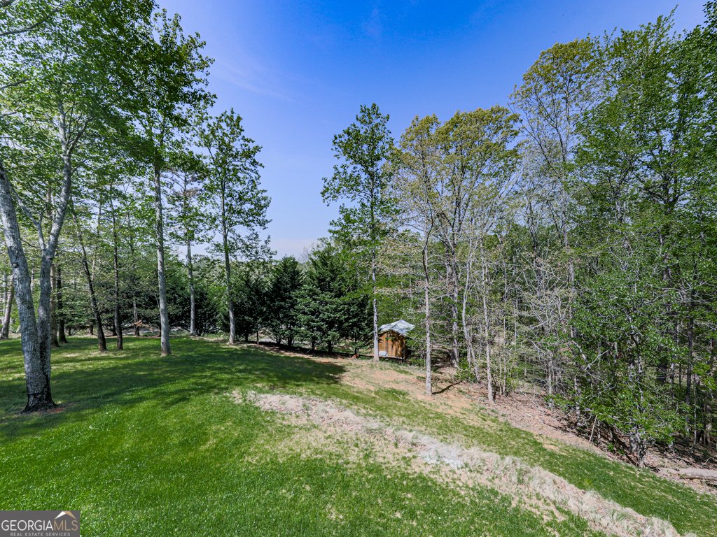 1141 Addington Lane Waleska - 91