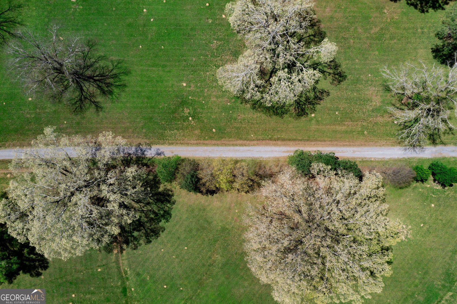 281 Highway 293 Cartersville - 57