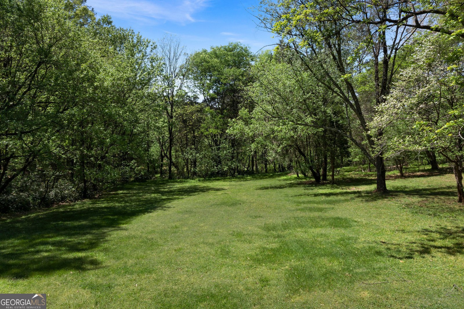 281 Highway 293 Cartersville - 84