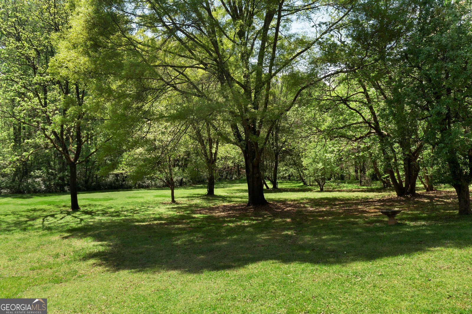 281 Highway 293 Cartersville - 86