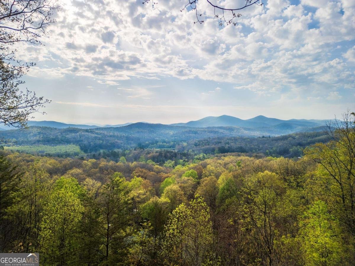 194 Blue Sky Overlook Blue Ridge - 2