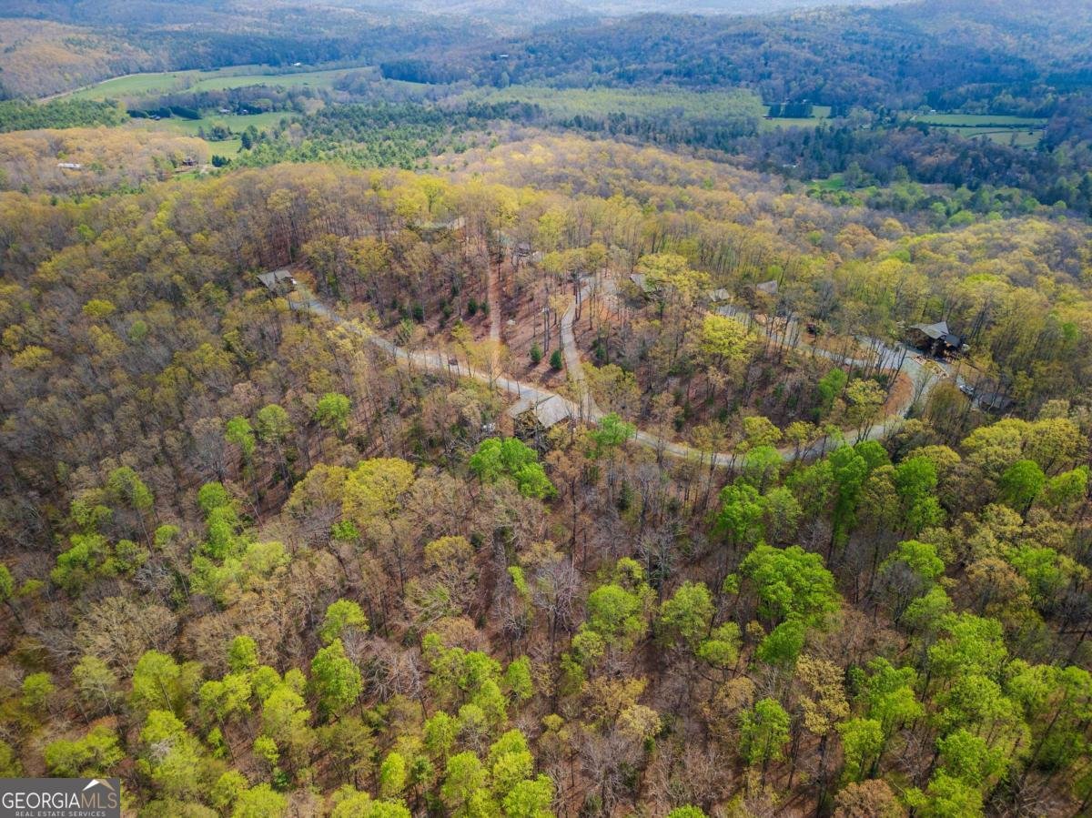 283 Blue Sky Overlook Blue Ridge - 34