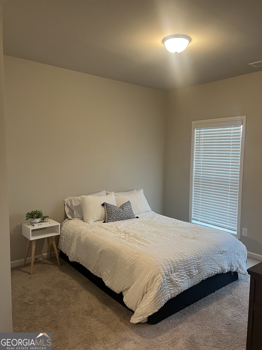 18 Cobalt Lane Newnan - 18
