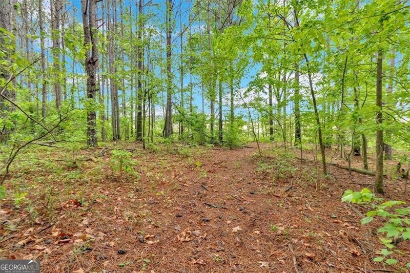 2791 BACK VALLEY Road Lyerly - 52