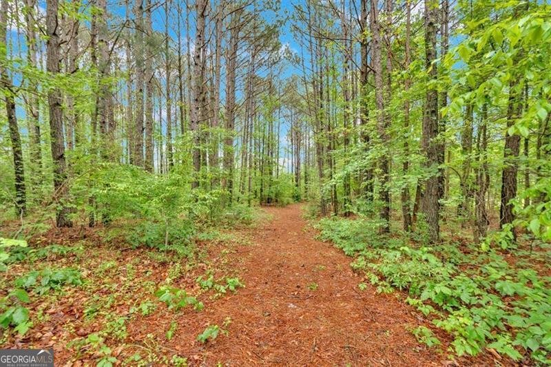 2791 BACK VALLEY Road Lyerly - 53