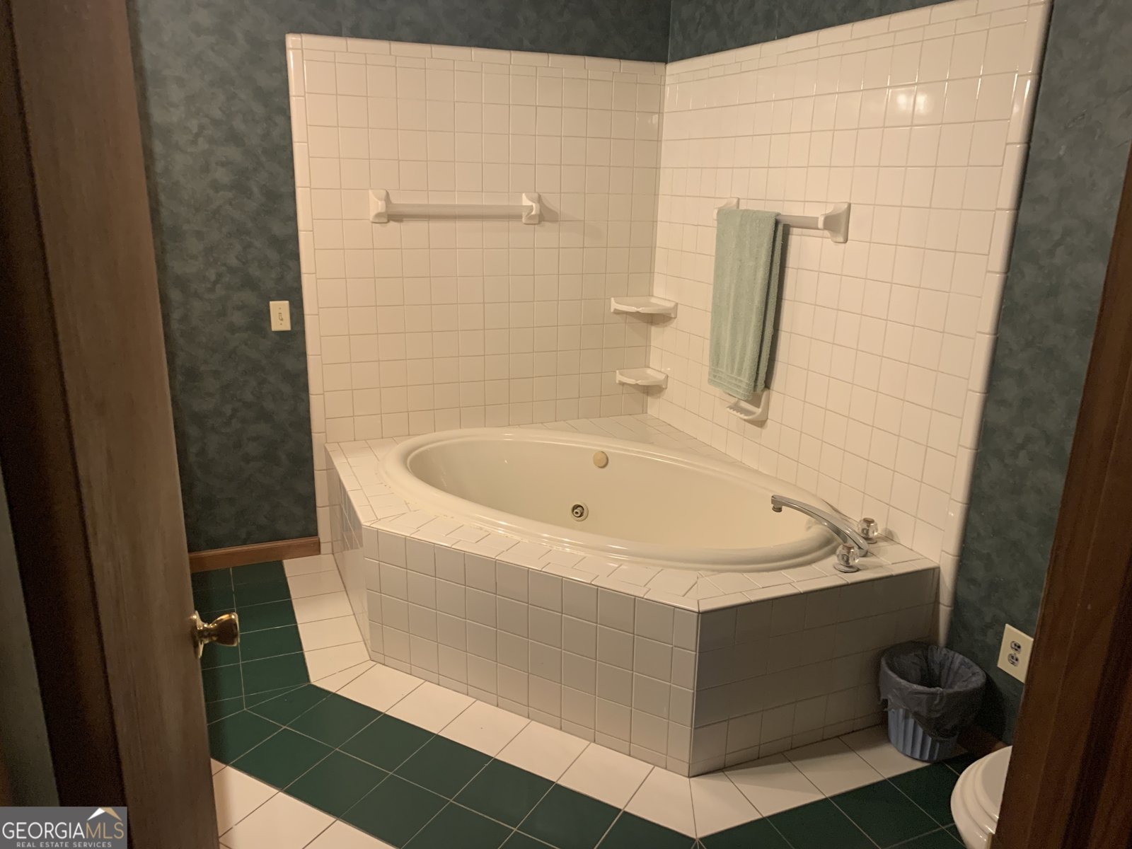 1296 Millen Highway Sylvania - 14