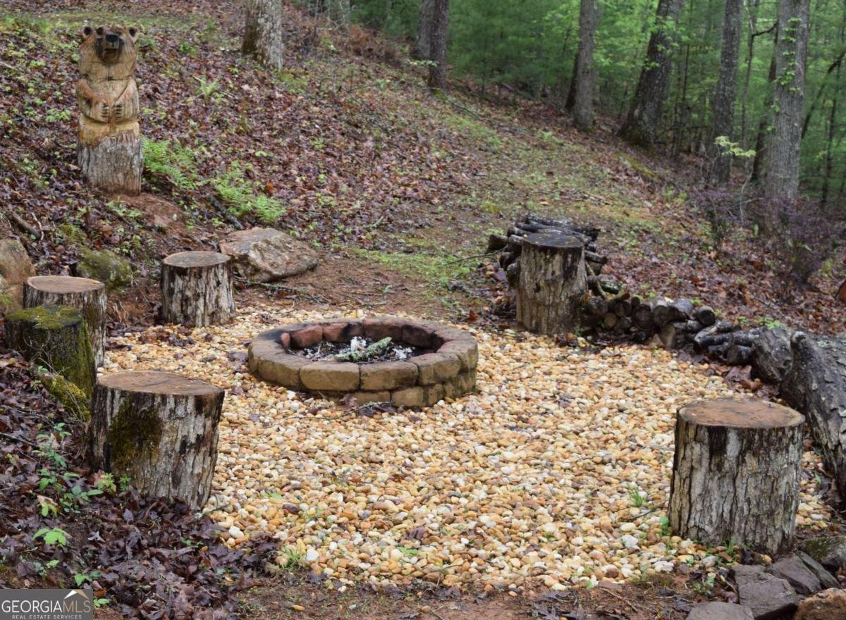 767 Robertson Circle Blairsville - 36