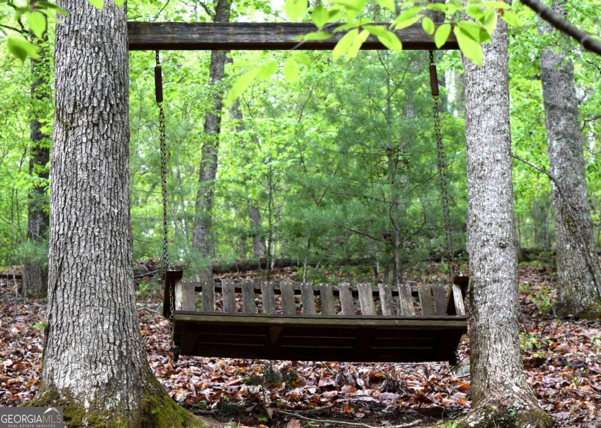 767 Robertson Circle Blairsville - 38