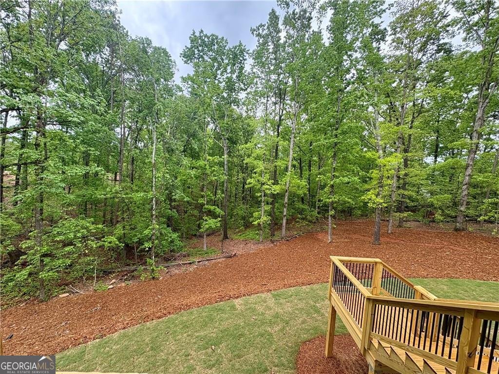 4762 Conns Creek Road Ball Ground - 40