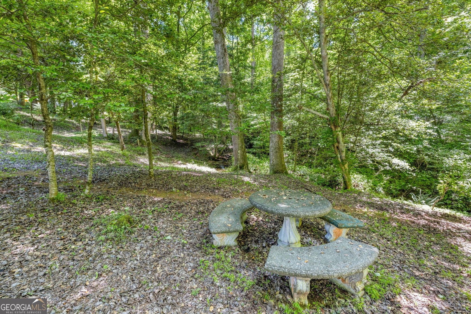 3581 AND 3585 Crane Mill Road Alto - 14