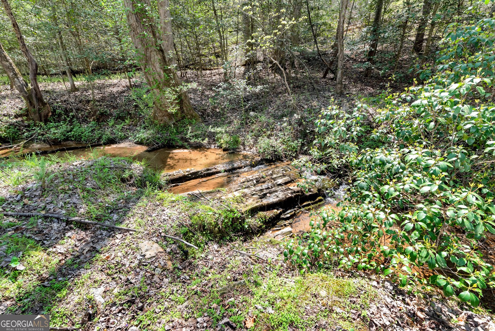 3581 Crane Mill Road Alto - 52