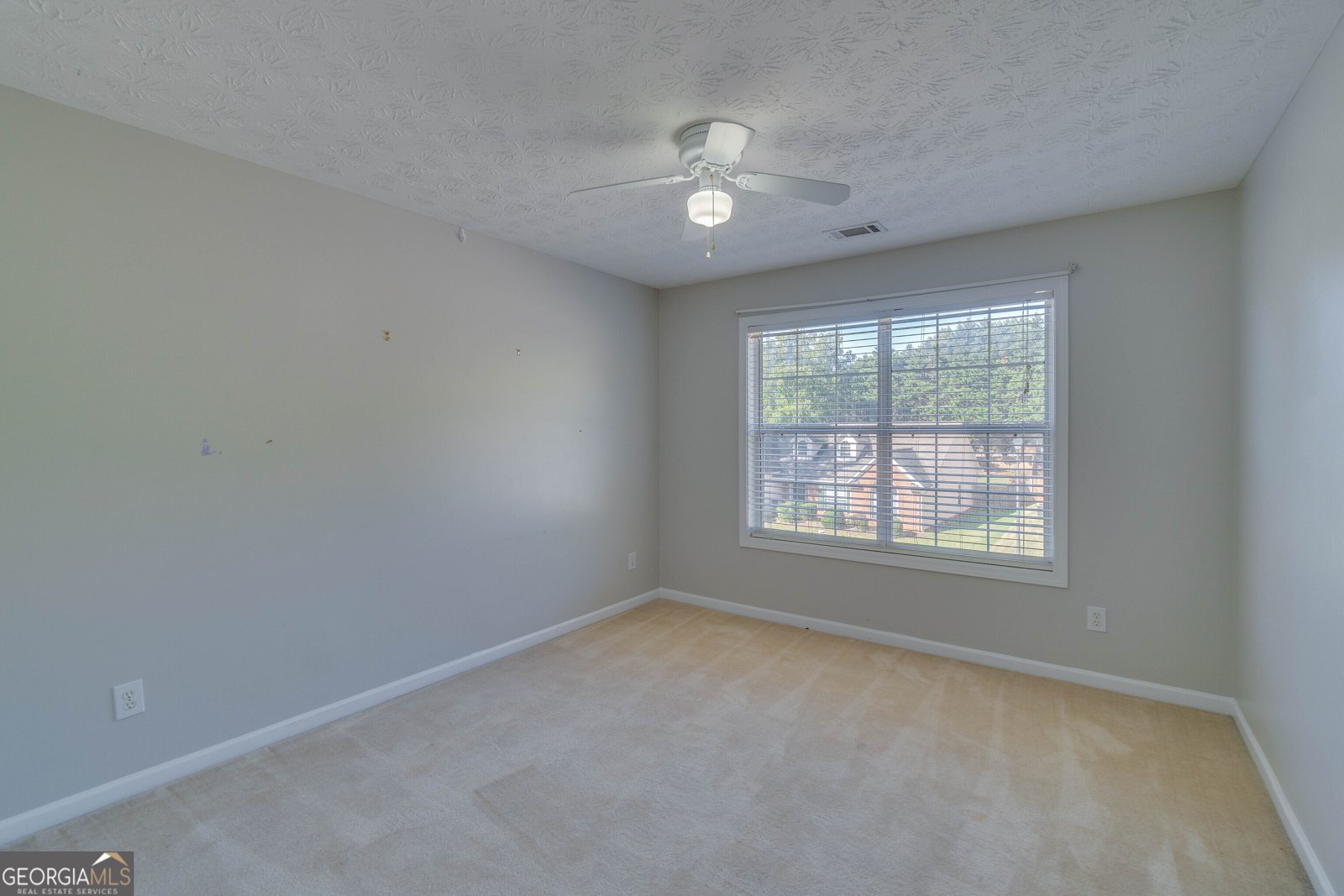 981 Charles Hall Drive Dacula - 13