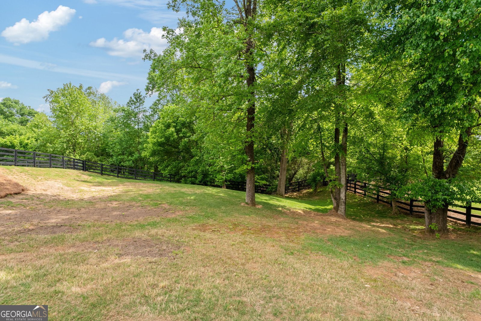 721 Paint Horse Drive Canton - 19