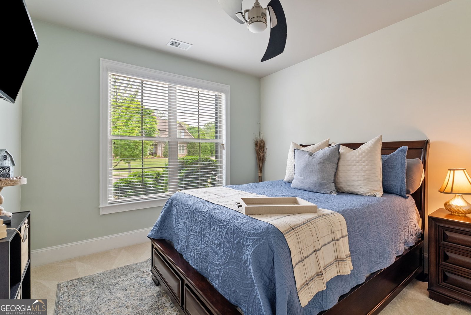 721 Paint Horse Drive Canton - 37