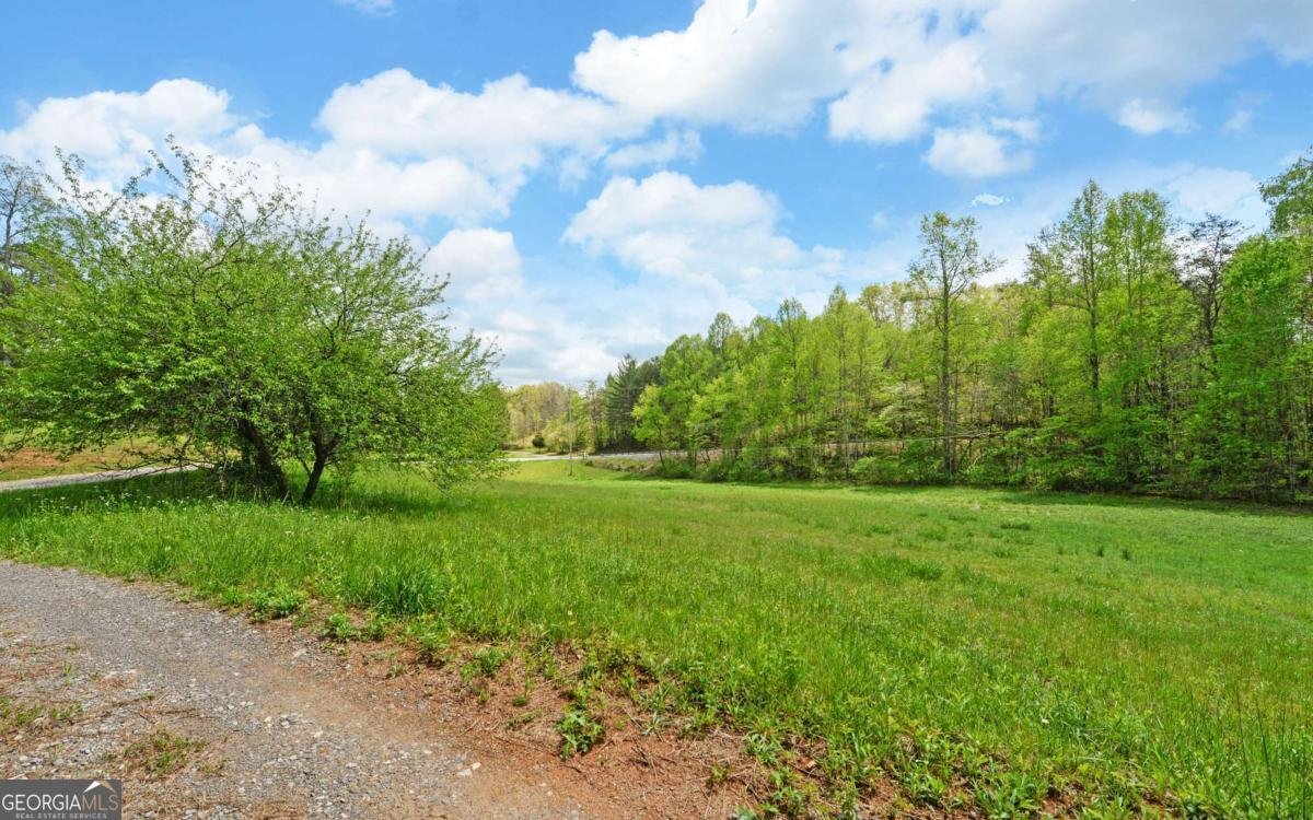 4245 Hwy 68 Turtletown - Photo 29