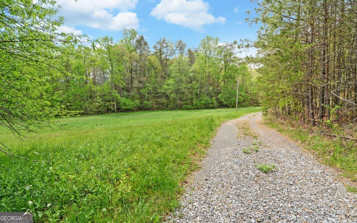 4245 Hwy 68 Turtletown - Photo 31