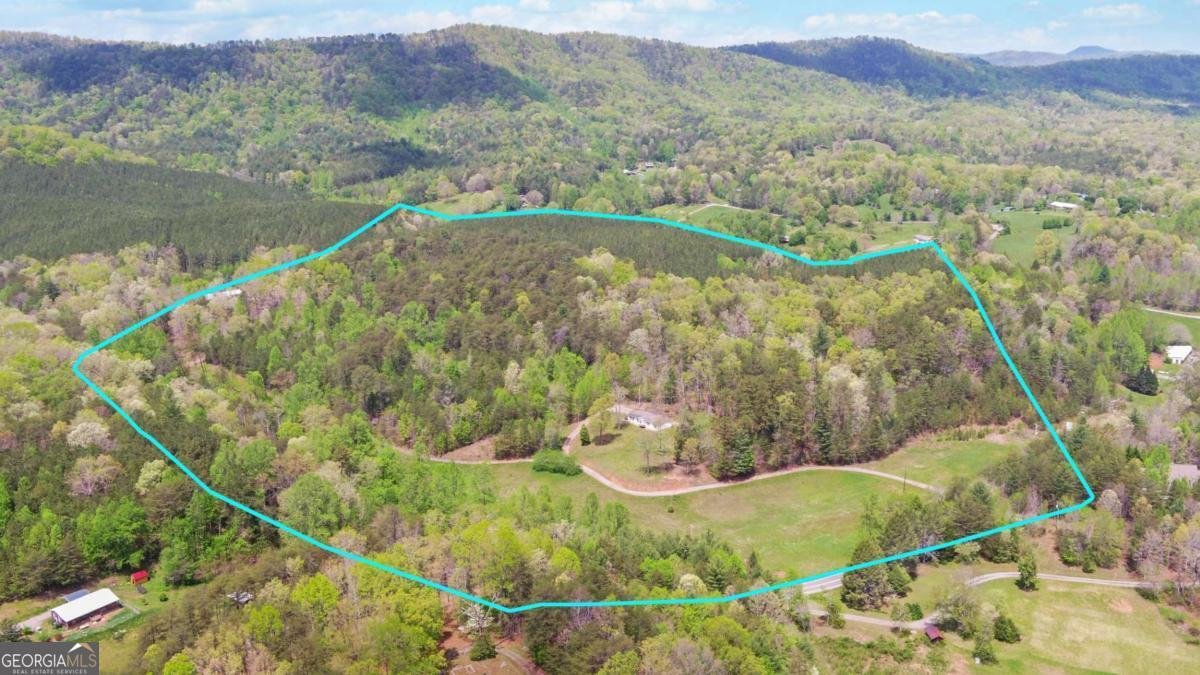 4245 Hwy 68 Turtletown - Photo 43