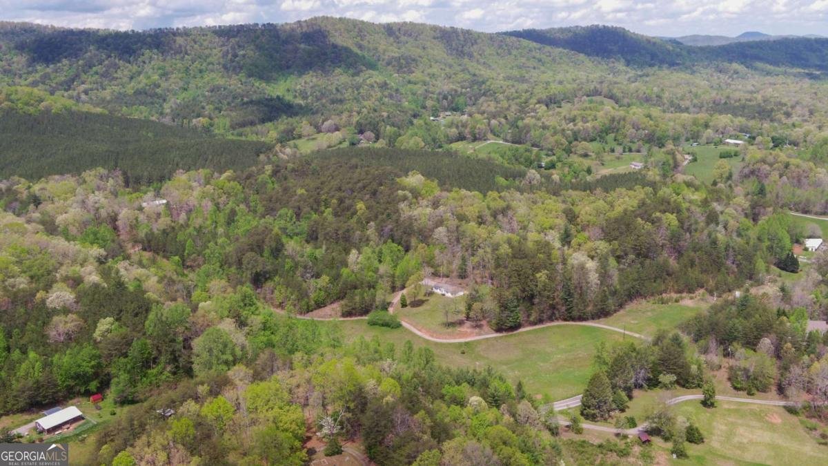 4245 Hwy 68 Turtletown - Photo 44