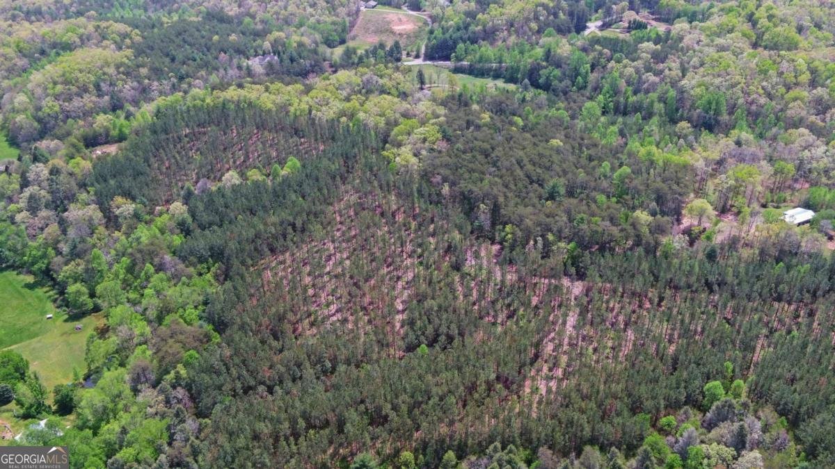 4245 Hwy 68 Turtletown - Photo 46