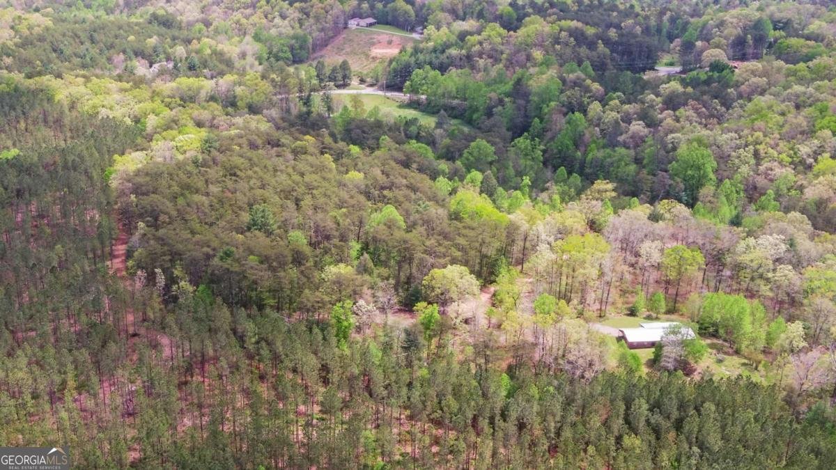 4245 Hwy 68 Turtletown - Photo 52