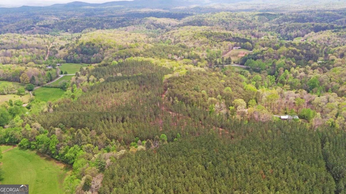 4245 Hwy 68 Turtletown - Photo 55