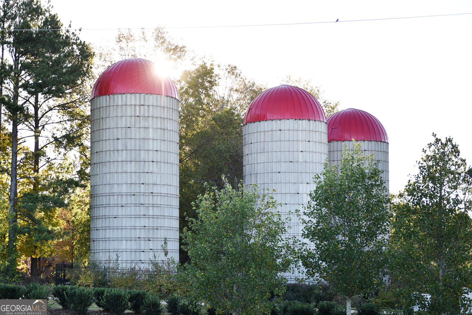 1210 Mayfield Road Milton - 48