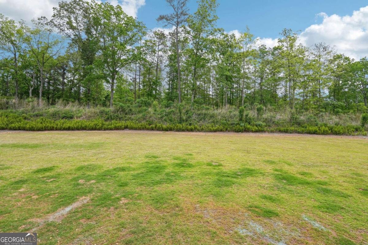 62 Shore At Redwine Drive Newnan - 41
