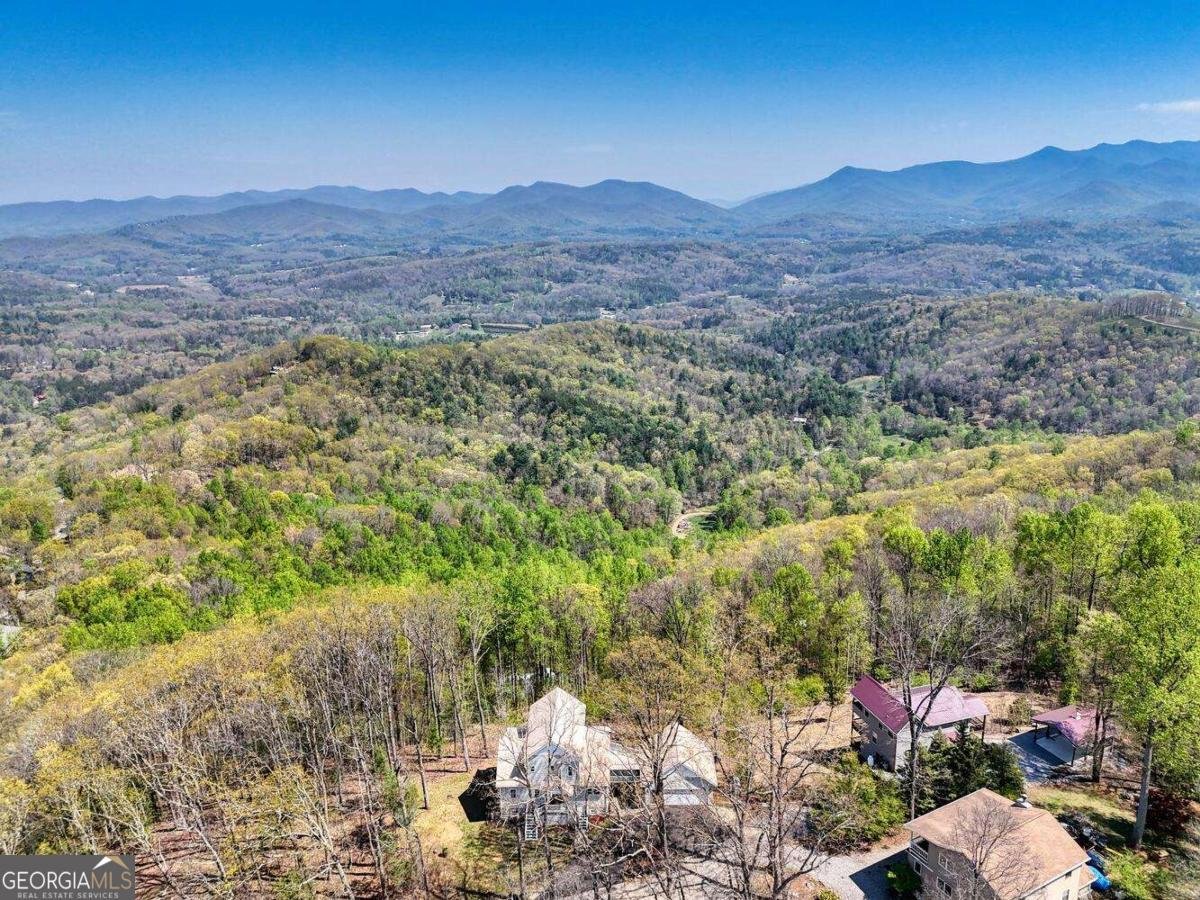 115 Wilson Mountain Summit Blairsville - 4