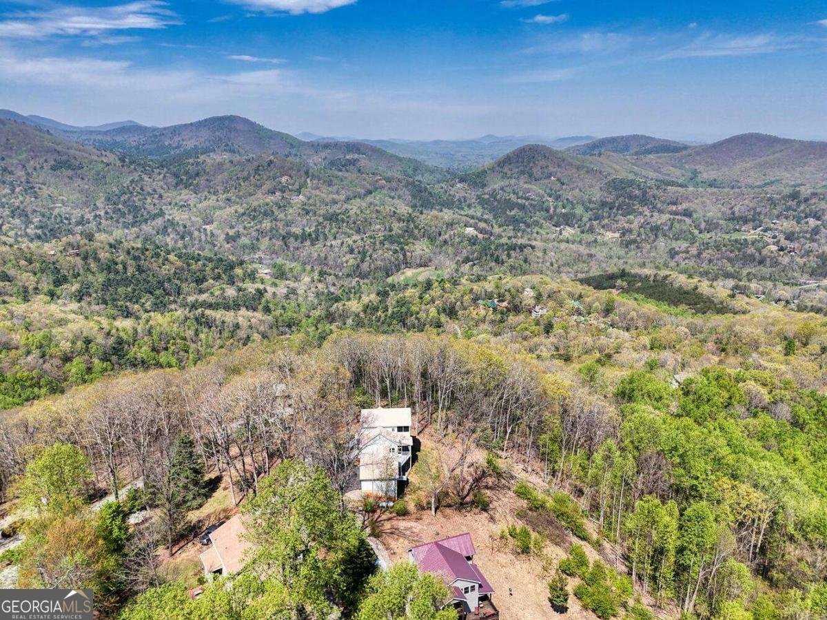 115 Wilson Mountain Summit Blairsville - 5