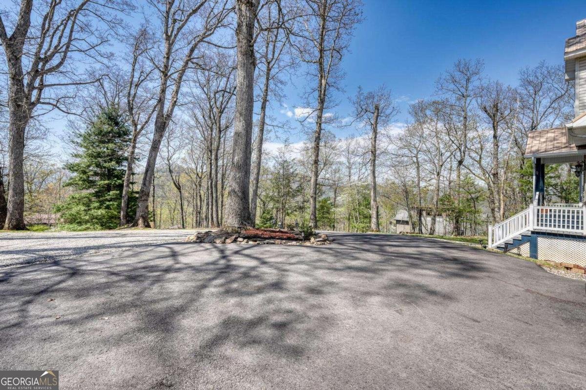 115 Wilson Mountain Summit Blairsville - 53
