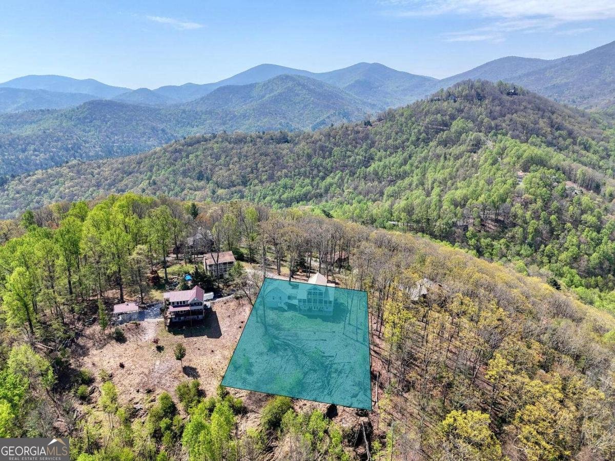 115 Wilson Mountain Summit Blairsville - 7