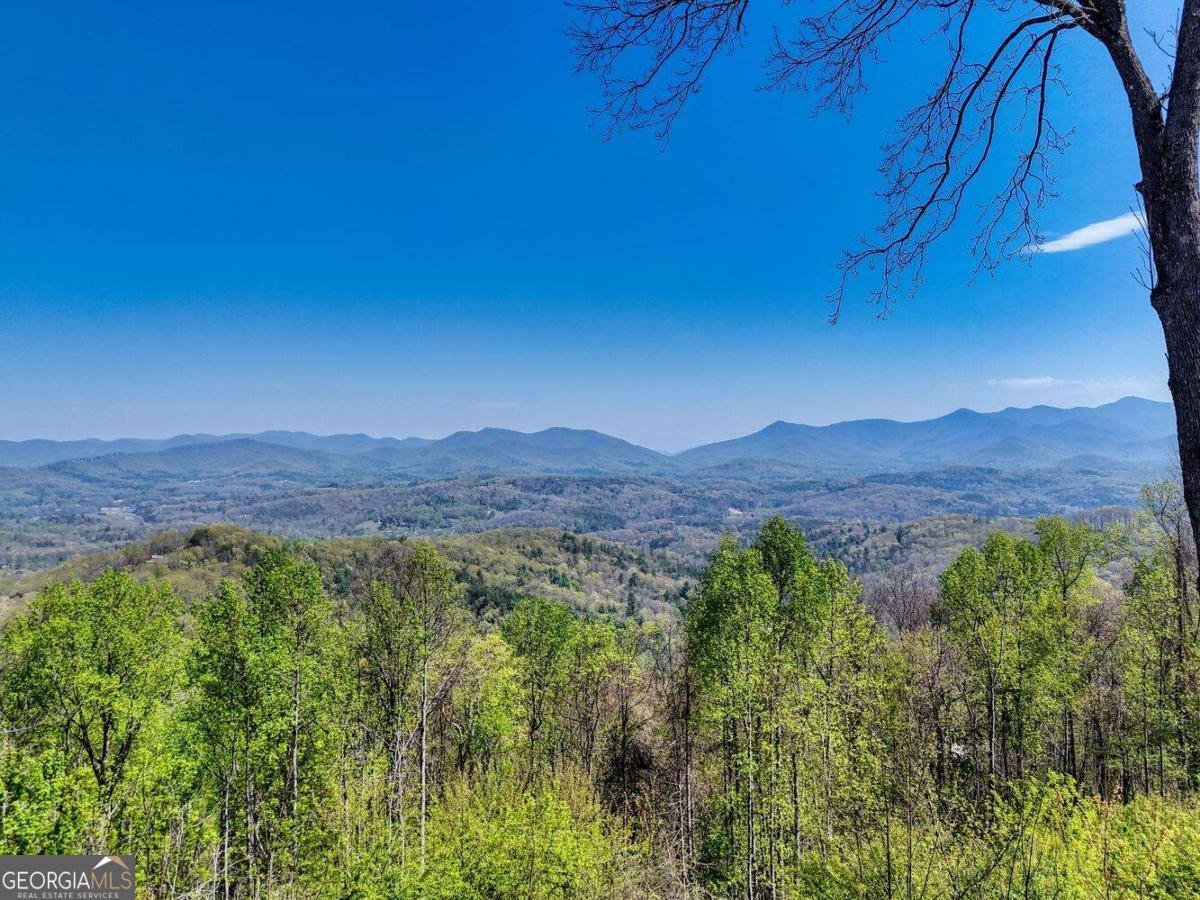 115 Wilson Mountain Summit Blairsville - 8