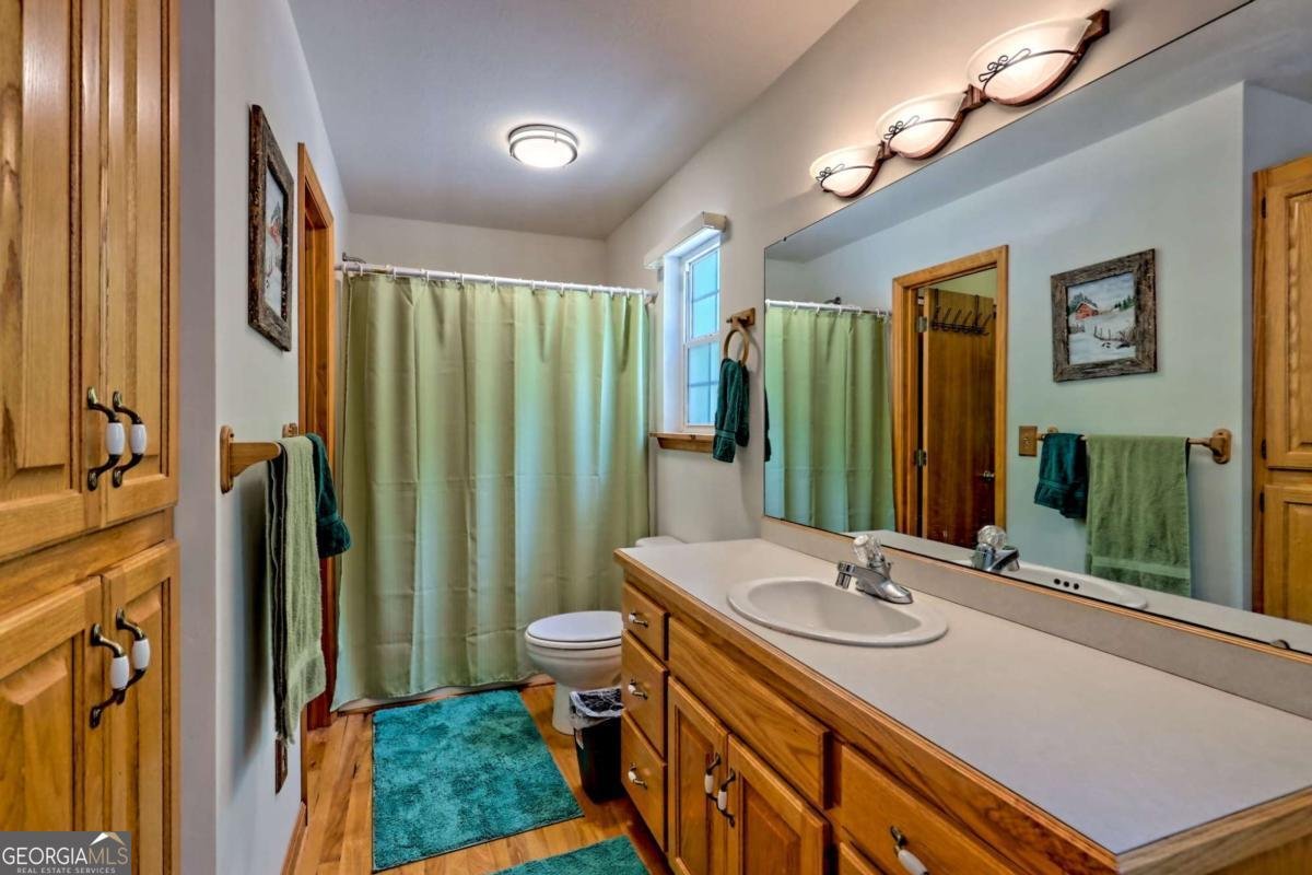 116 Wildwood Road Young Harris - 21
