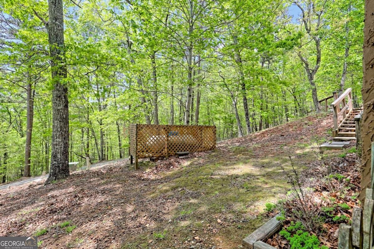 116 Wildwood Road Young Harris - 44