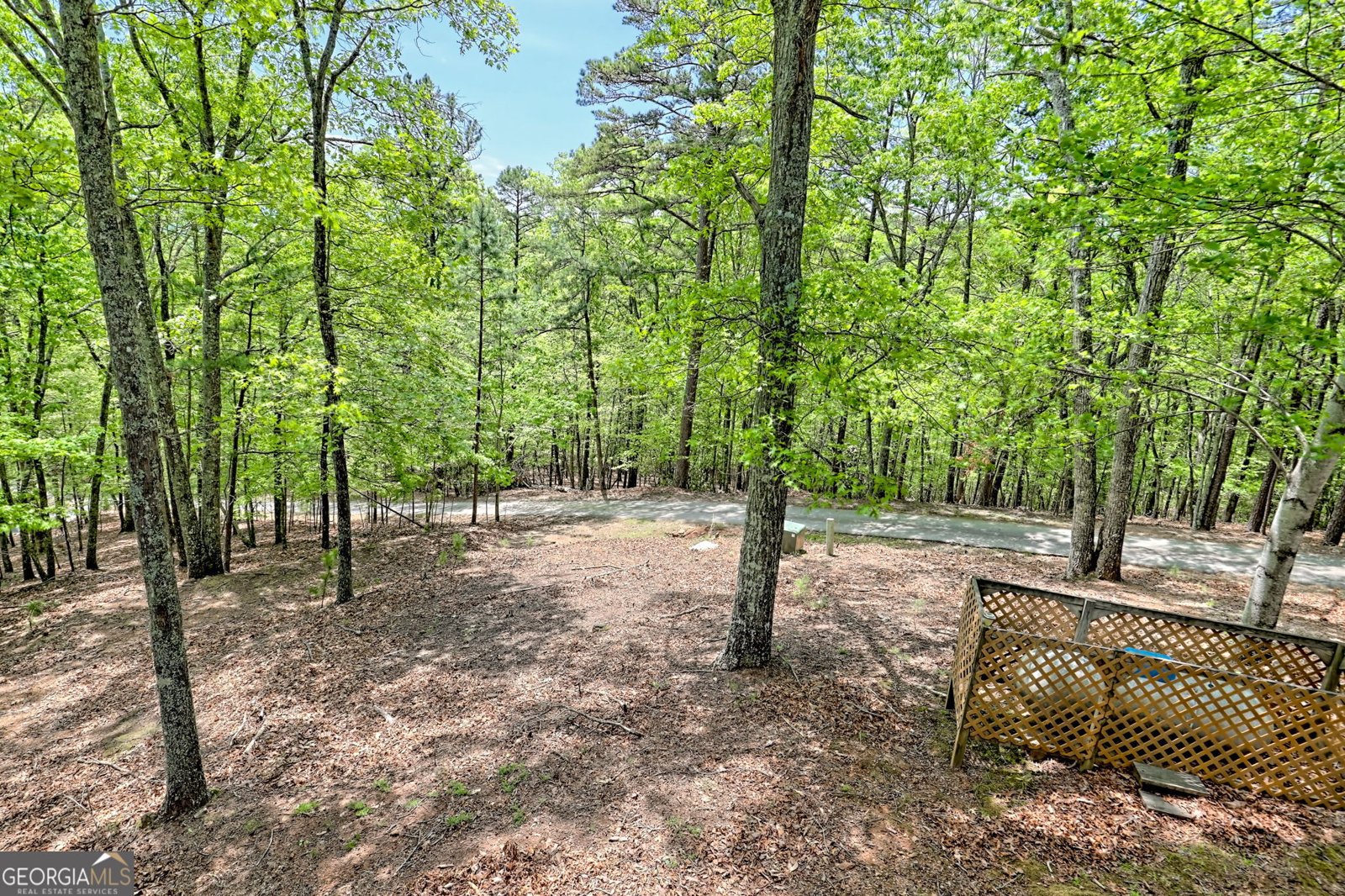 116 Wildwood Road Young Harris - Photo 57