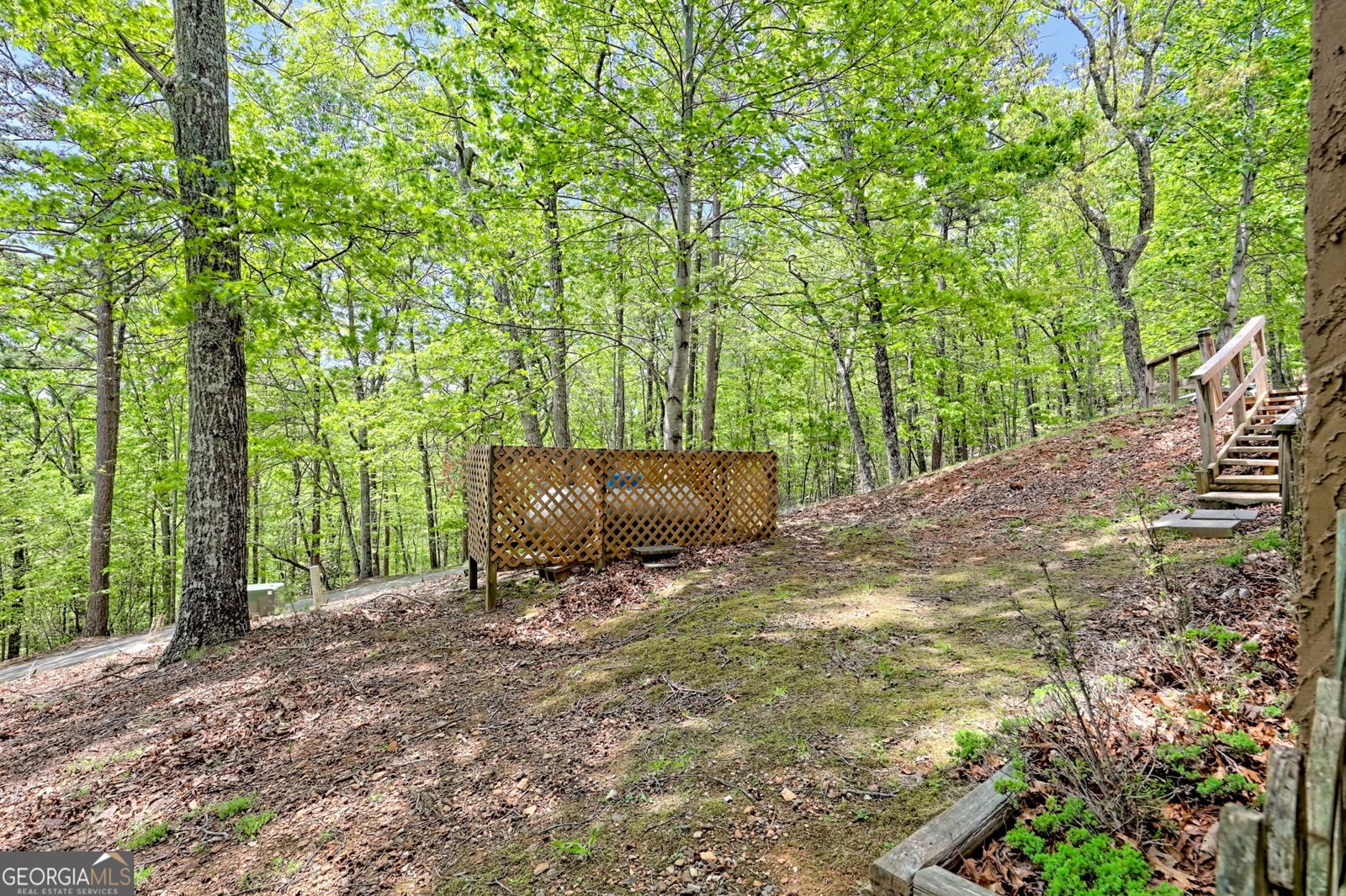 116 Wildwood Road Young Harris - Photo 58