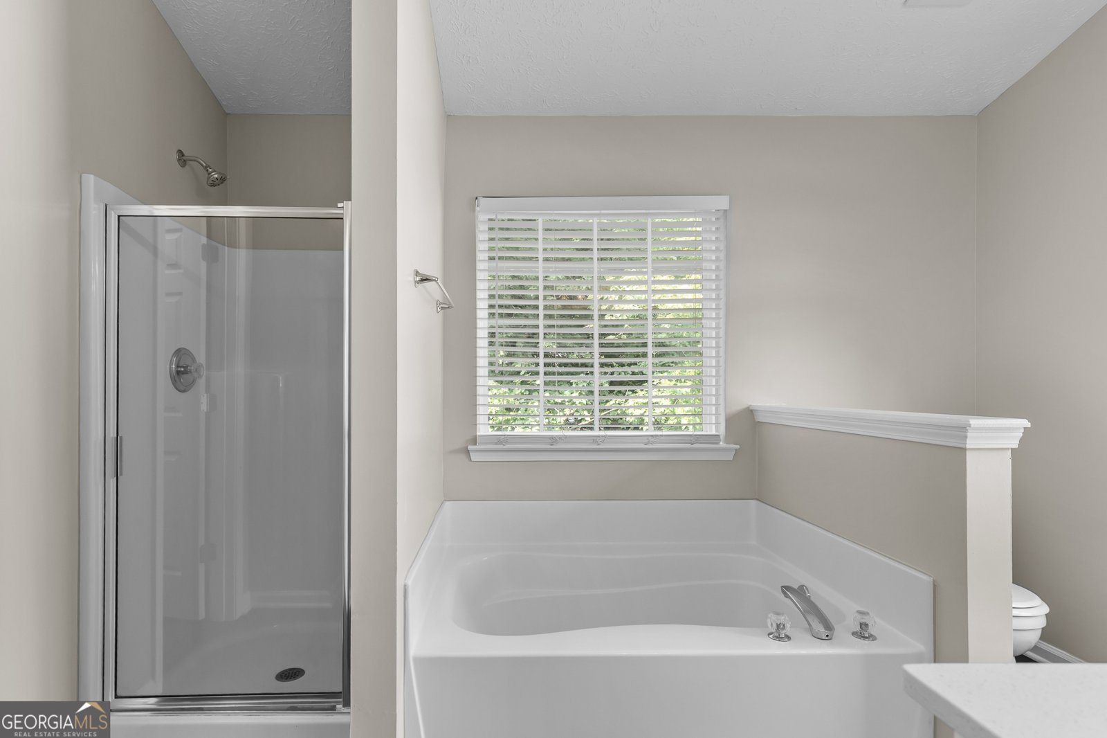 110 Slate Ridge Lane Loganville - 26