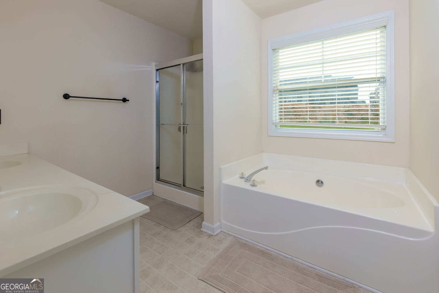 3984 Potomac Walk Court Loganville - 25