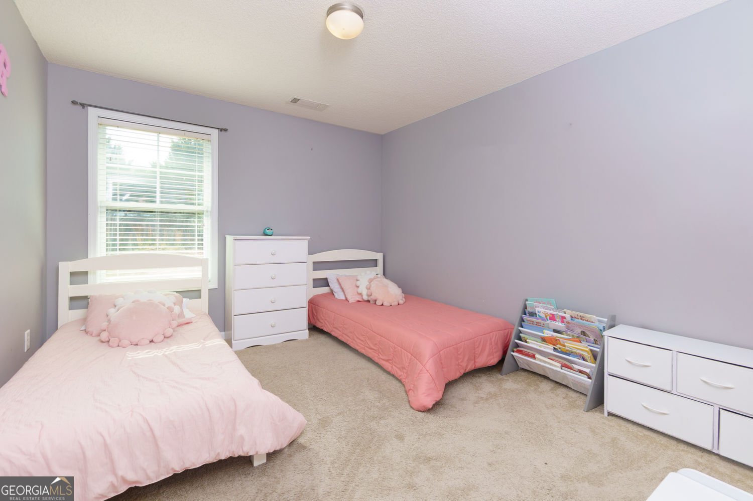 3984 Potomac Walk Court Loganville - 28