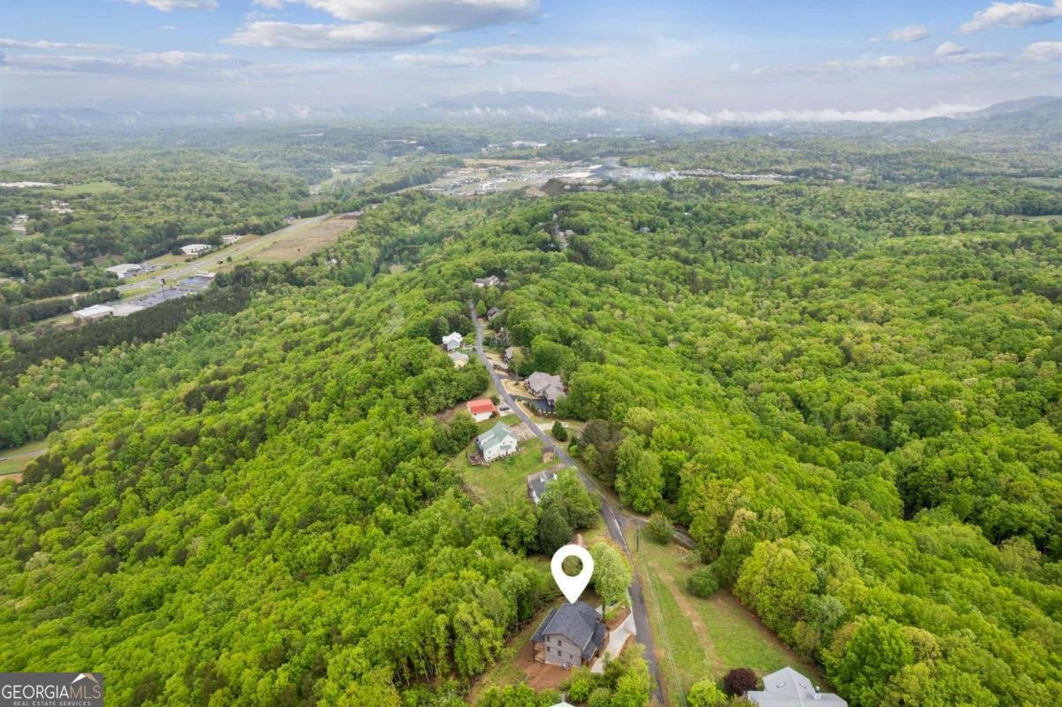1324 Talona Mountain Road Ellijay - 33